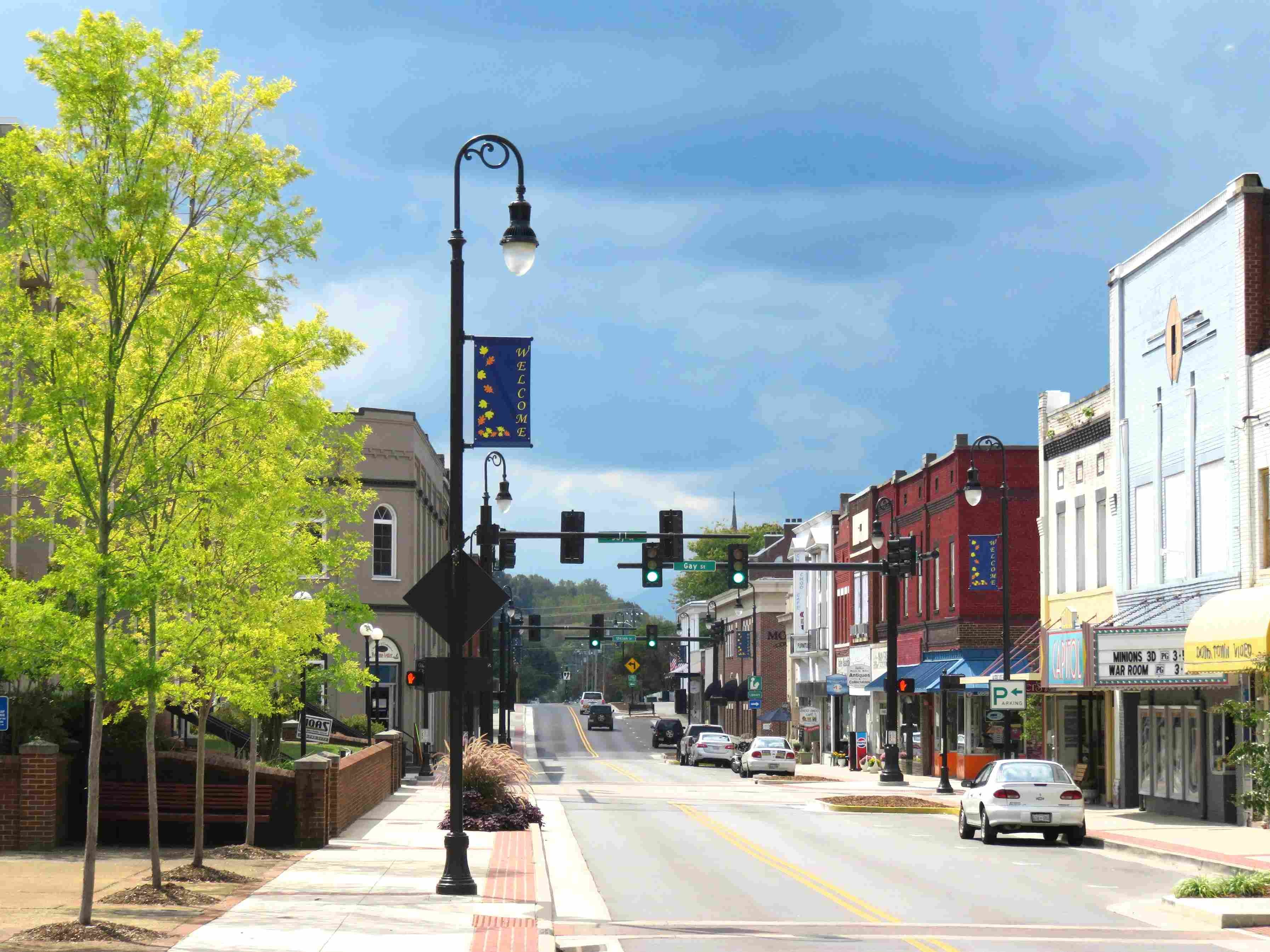 Tree Services in Erwin, TN